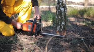 Best Weed Control  in Thibodaux, LA